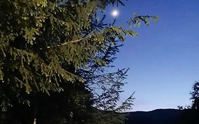 Kalmul Naturii, Iuresul Padurii